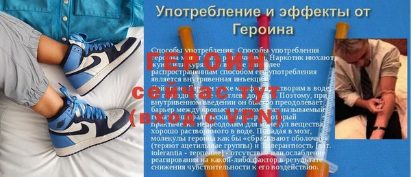 прущие грибы Балахна