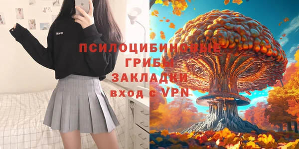 гидра Покров