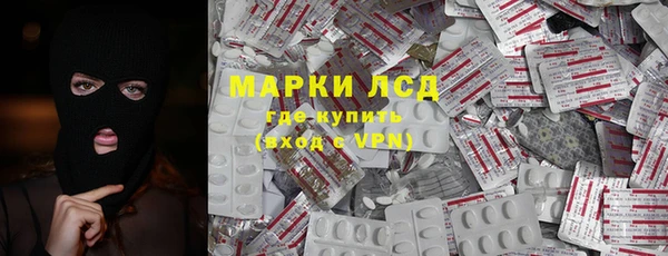 прущие грибы Балахна