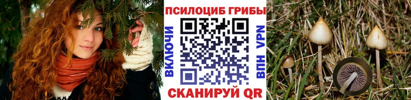 как найти   Горнозаводск  сайты даркнета как зайти  Галлюциногенные грибы Psilocybe  МЕГА как зайти 